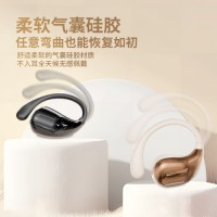 Ear Buds